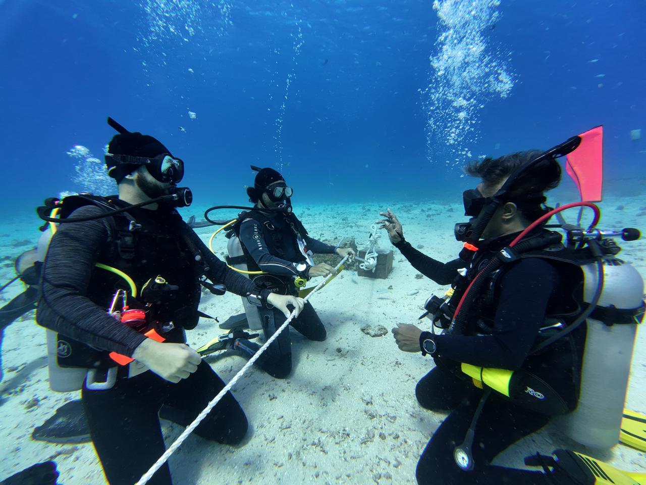 Open Water