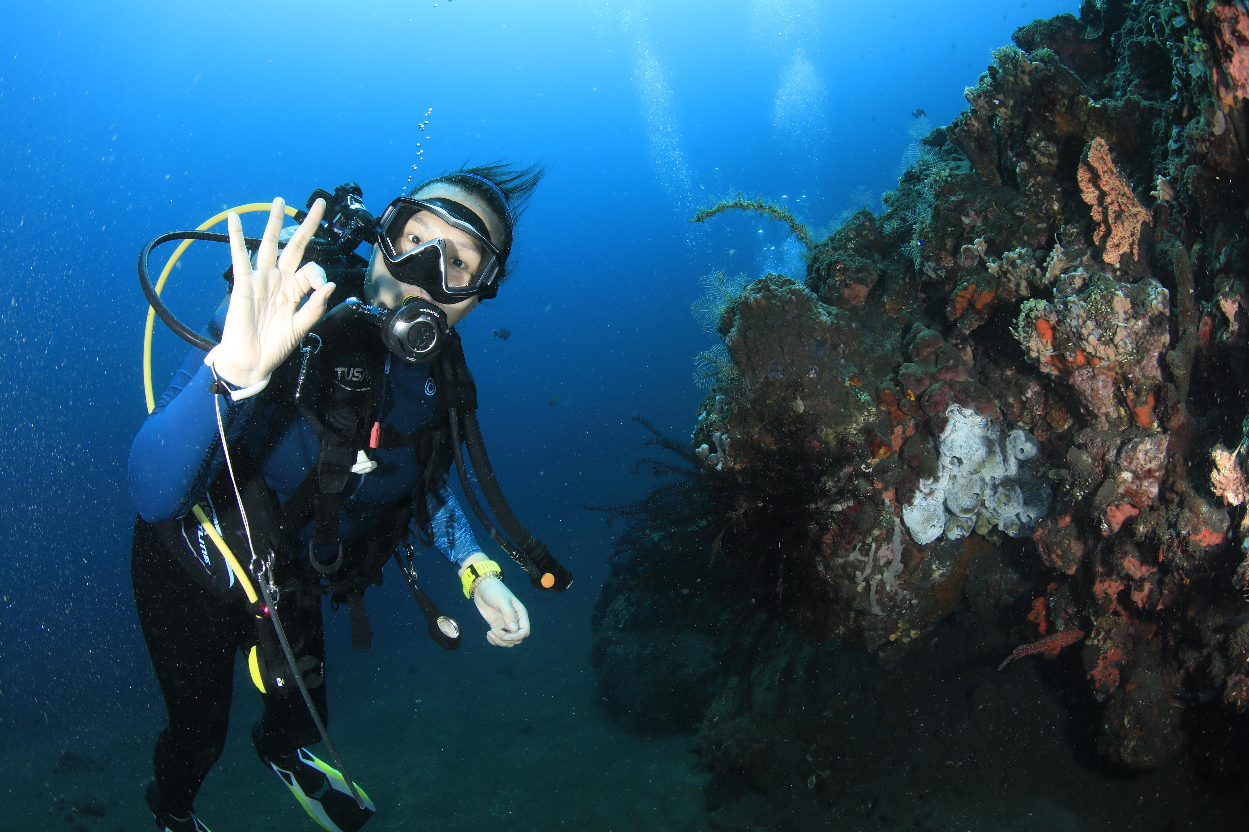 What is the Coral Triangle?